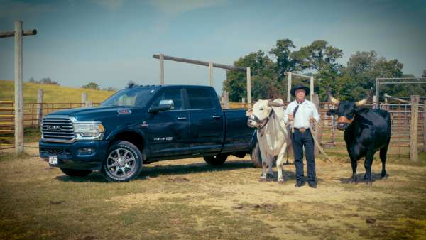 Kimberly Car City - Ford