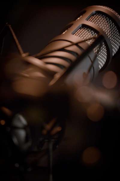 A close up and artistically blurry image of a microphone shrouded in warm light.